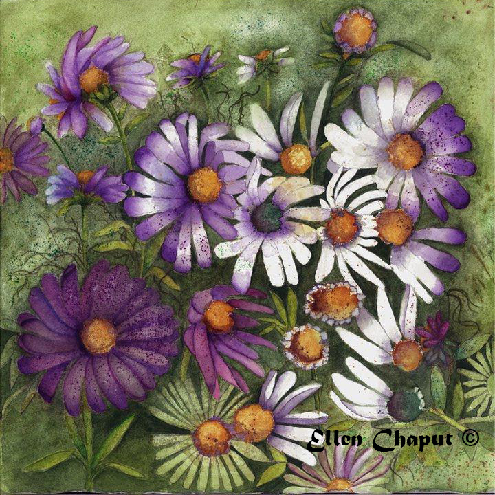 EC018 - Amanda's Purple Flowers