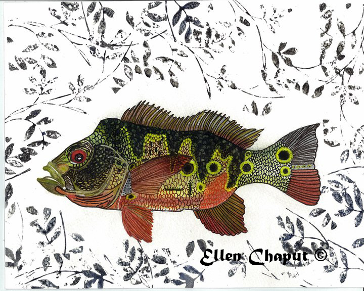 EC010 - Peacock Bass